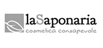 saponaria