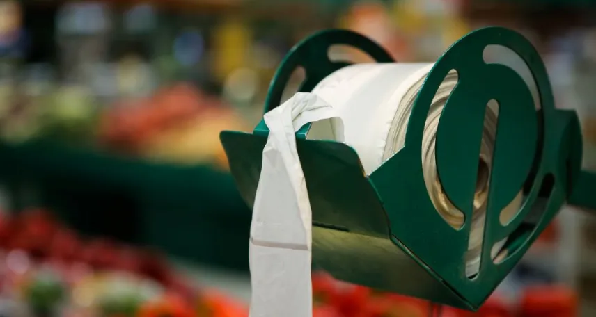 sacchetti compostabili