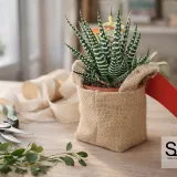 Jute bag for plant and flower pots