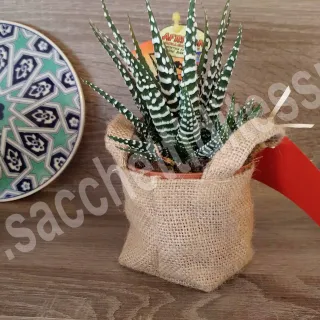 Sacchetto di juta per porta vasetti di piante per bomboniere matrimonio